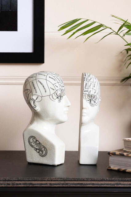 Phrenology Head Ornament / Bookends - image 1
