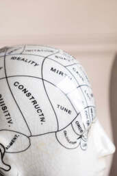 Phrenology Head Ornament / Bookends - thumbnail 5