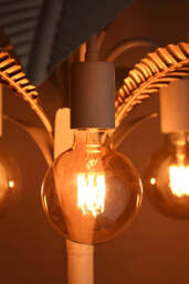 Globe E27 6W Amber LED Light Bulb - thumbnail 4