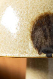 Brown Spot Mushroom Table Lamp - thumbnail 4