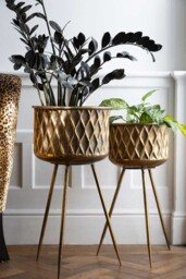 Set Of 2 Antique Brass Planters On Stand - thumbnail 1