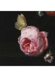 Dark Rose Art Print - thumbnail 3