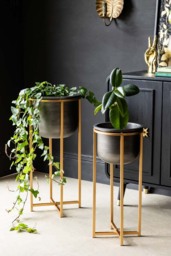 Set of 2 Black Planters With Gold Stand - thumbnail 3