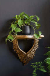 Antiqued Gold Angel Wings Wall Shelf