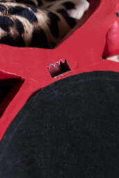 Beautiful Red Bird Oval Wall Mirror - thumbnail 5