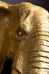 Extra Large Gold Elephant Head Wall Art - thumbnail 3