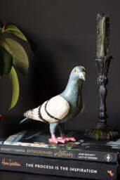 Quirky Pigeon Ornament - thumbnail 4