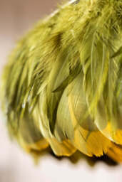 Fabulous Feather Ceiling Light Shade - Olive Green - thumbnail 5