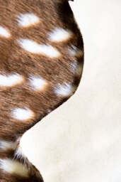 Faux Deer Hide Rug - thumbnail 5