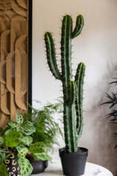 Large Faux Cactus Plant - thumbnail 5