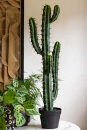 Large Faux Cactus Plant - thumbnail 1