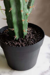 Large Faux Cactus Plant - thumbnail 4