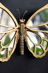 Gold Butterfly Decorative Wall Mirror - thumbnail 4
