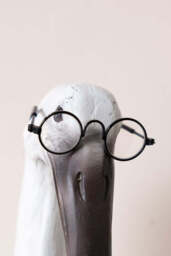 Sharon The Quirky Bird With Spectacles & Bow Tie Wall Art - thumbnail 3