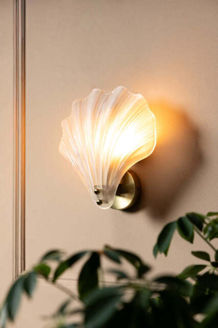 Stunning Frosted Glass Shell Wall Light - image 1