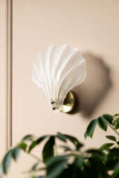 Stunning Frosted Glass Shell Wall Light - thumbnail 5