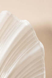 Stunning Frosted Glass Shell Wall Light - thumbnail 4