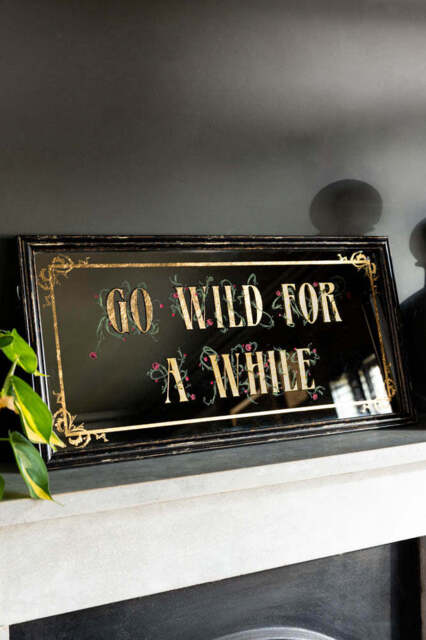 Go Wild For A While Decorative Mirror - image 1