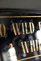 Go Wild For A While Decorative Mirror - thumbnail 4