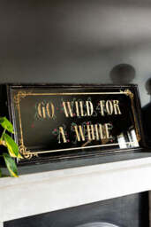 Go Wild For A While Decorative Mirror - thumbnail 1