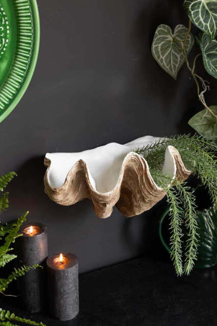 Clam Shell Wall Shelf - image 1