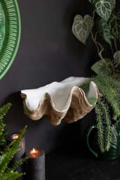 Clam Shell Wall Shelf - thumbnail 3