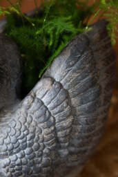 Vintage-Style Swan Planter - thumbnail 5