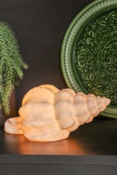 Sandstone Shell Table Lamp - thumbnail 3