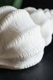 Sandstone Shell Table Lamp - thumbnail 4