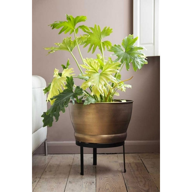Brass Effect Planter With Stand - image 1