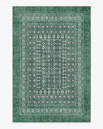 Cyrus Sage Rug - 200x290 - Machine Washable Area Rug - Kid & Pet Friendly - Indoor Rugs - Ruggable