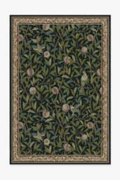 Bird & Pomegranate Teal Green Rug by Morris & Co. - 200x290 - Machine Washable Area Rug - Kid & Pet Friendly - Indoor Rugs - Ruggable