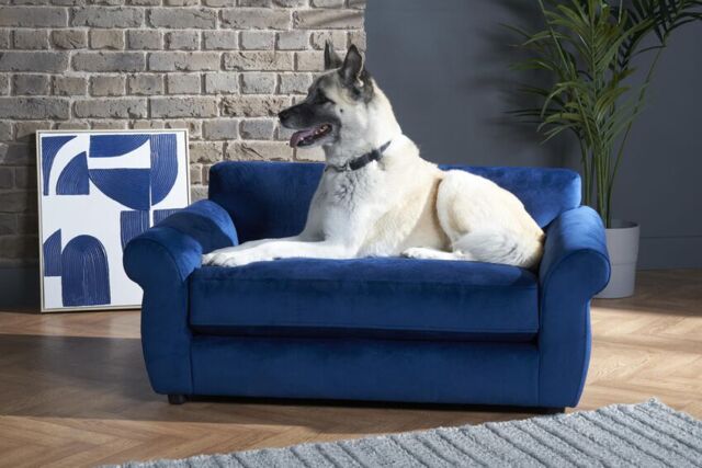 ScS Living Fabric Hoxton Velvet Dog Sofa by SCS