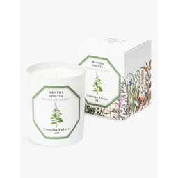 Carriere Freres Mentha Spicata Scented Candle 185g - thumbnail 2