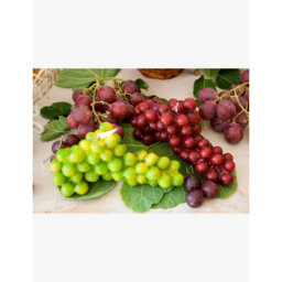 Introna Tralcio Uva Red Grape Wax Candle 270g - thumbnail 2