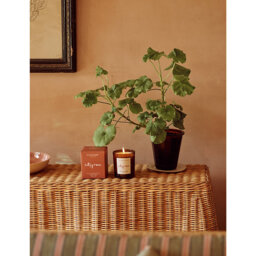 Plum And Ashby Green Sandalwood & Fern Scented Wax Candle 635g - thumbnail 2