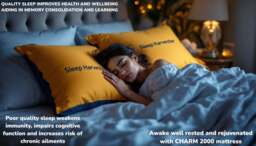 Sleep Harvester - CHARM 2000 Luxury Bamboo Hybrid Mattress - UK Cool Wool - Super King (180 x 200 cm) / Firm / No - thumbnail 5