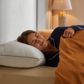 Sealy Dual Comfort Memory Foam Pillow