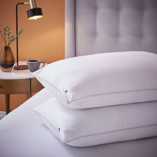 Silentnight Premium Warm and Cosy Pillow Pair - image 1