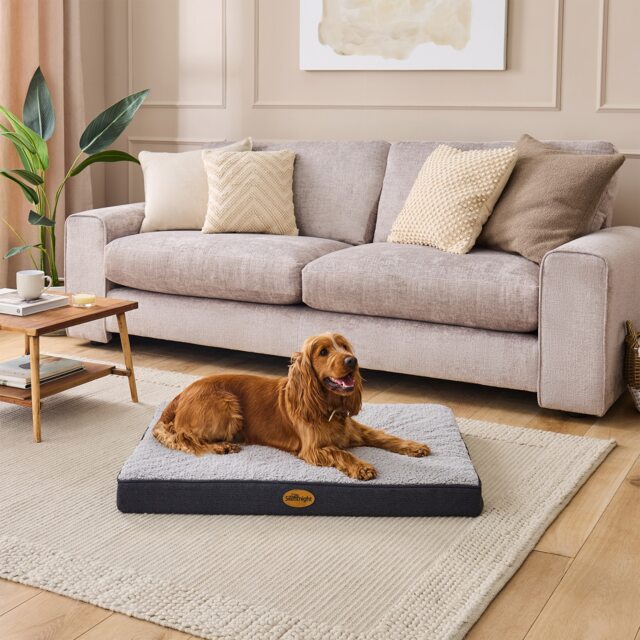 Silentnight Firm Support Crate Mattress Pet Bed - image 1