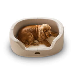 Silentnight Orthopaedic Donut Pet Bed - thumbnail 2