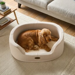 Silentnight Orthopaedic Donut Pet Bed - thumbnail 1