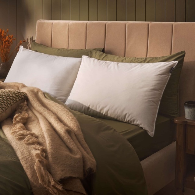 Sleepeezee Natural Feather and Down Pillow - image 1