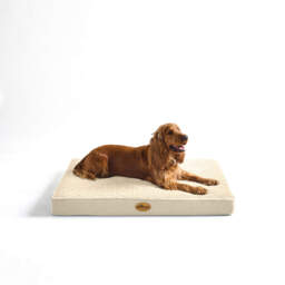 Silentnight Firm Support Crate Mattress - Natural - thumbnail 2