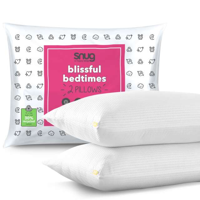 Snug Blissful Bedtime Pillow Pair - image 1