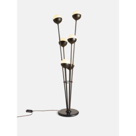 Black Seed Floor Lamp - distinctive Lighting for Your Home