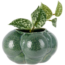 Forma Rosa Studio Green Mini Botryoidal Planter - thumbnail 2