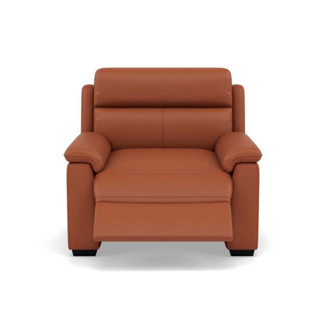 Eldon Recliner Armchair - Power Recliner Chair CAT20S - Power Recliner with USB - NWS-605D WARM BROWN - image 1