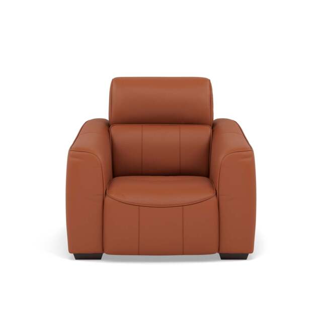 Beck Armchair - Armchair Cat 20S - NWS-605D WARM BROWN - image 1