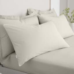Bianca Percale Cream Standard Pillowcase Pair - 200TC Percale Natural Std Pillowcase Pair